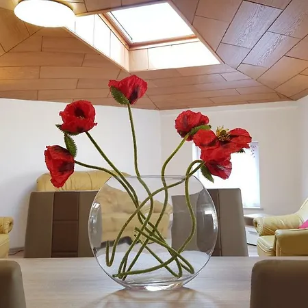 公寓 Elena Flat Mohn Zentrum *